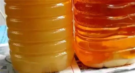 菜籽油冬天会冻住吗？